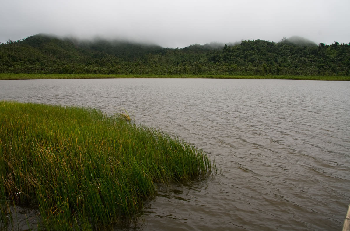 Grand Etang National Park And Lake Grenada Lac Geo